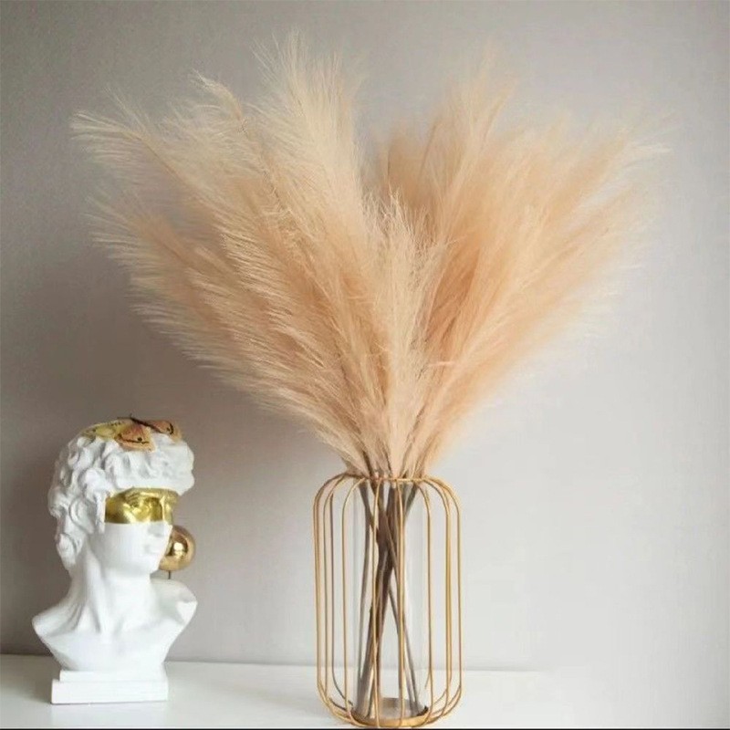 Florist Supply Vases - 10 buah Pompous rumput buatan Pompass