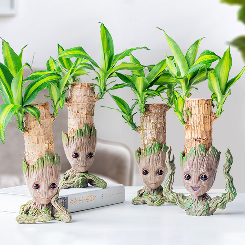 Pot bunga Groot Dekorasi vas m - Florist Supply Vases ulasan dan harga